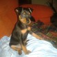 BOBY 2 MESES!!